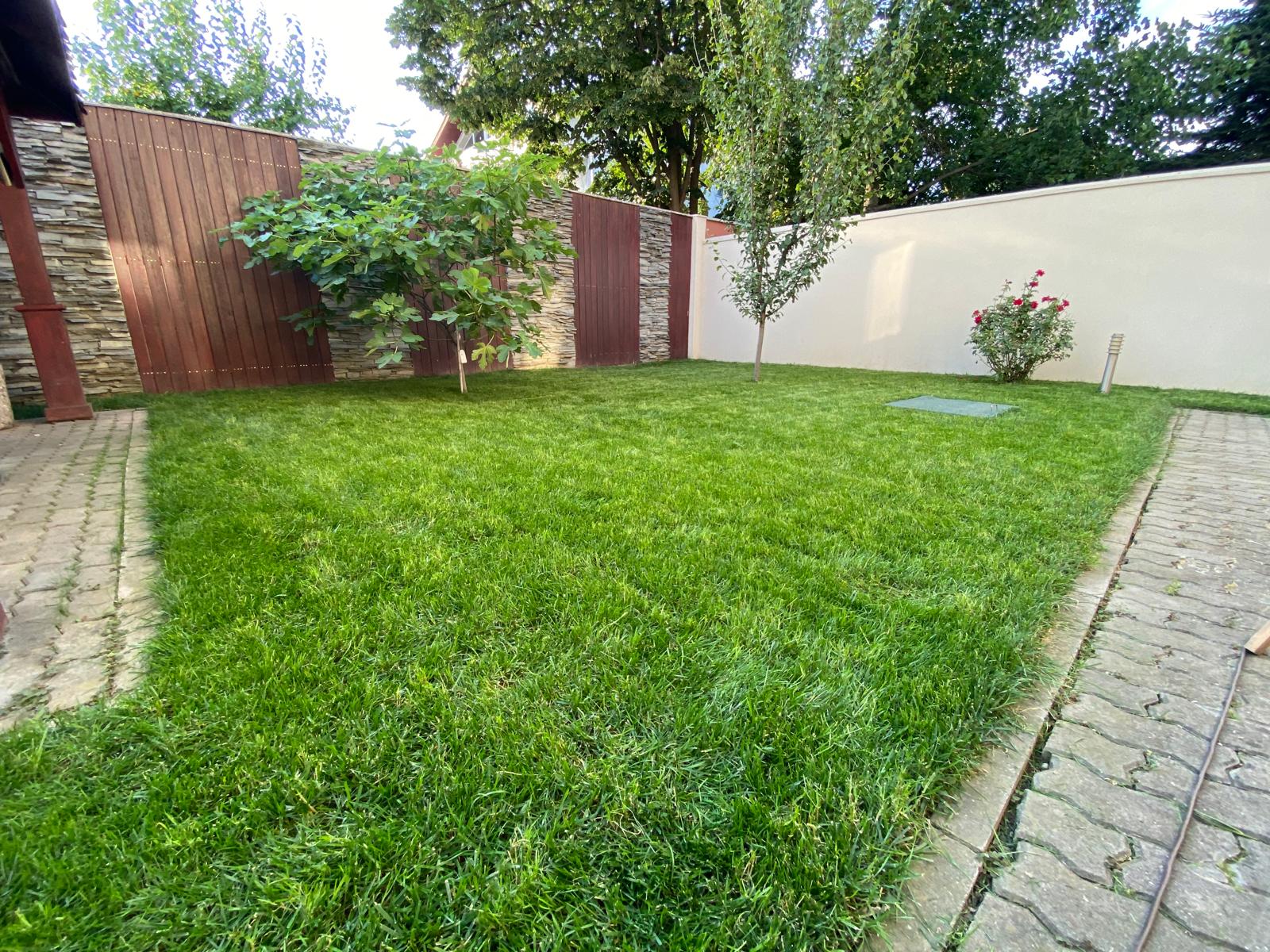 Spatiu verde minimalist