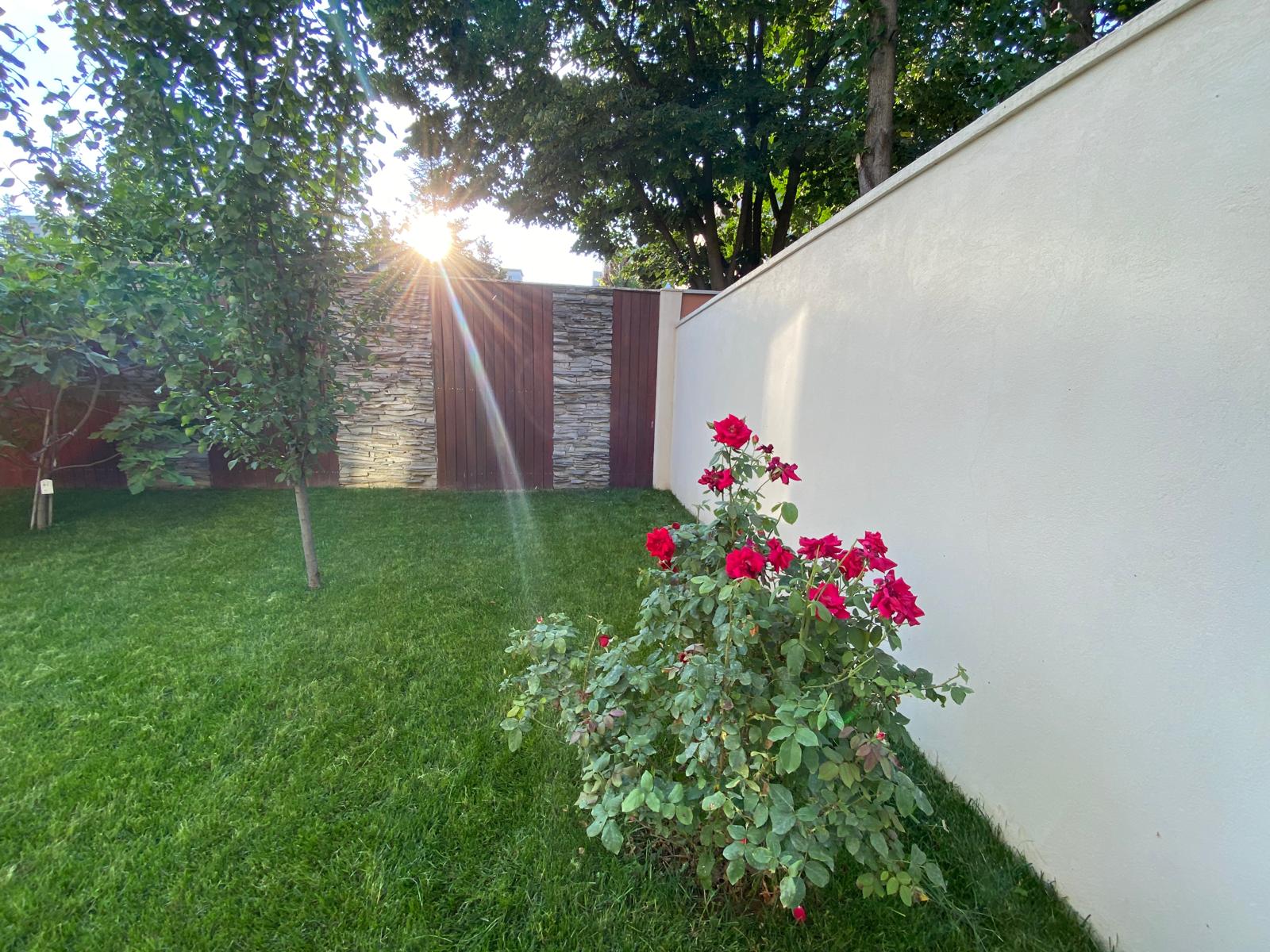 Spatiu verde minimalist