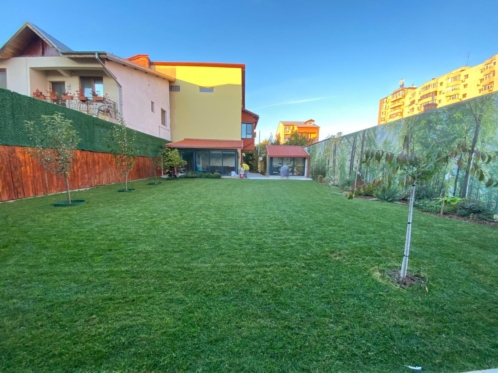 Spatiu verde minimalist